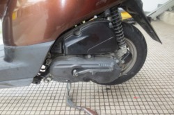 �z���_�^�N�g�E�x�[�V�b�N�i���Q�������l�s�j�摜8